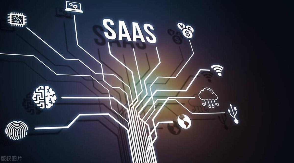 深入理解Go语言encoding/xml包的Token解析与属性获取